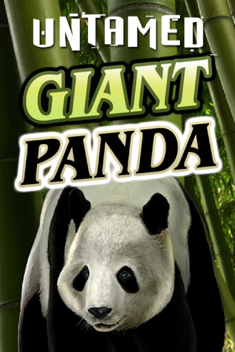 Untamed - Giant Panda онлайн игра GMSlots | GMSlots без регистрации