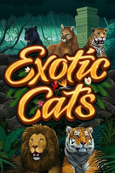 Exotic Cats онлайн игра GMSlots | GMSlots без регистрации